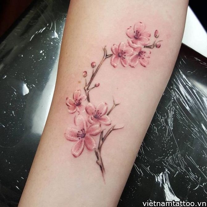Những nét đặc sắc của tattoo hoa anh đào  Bạn có biết